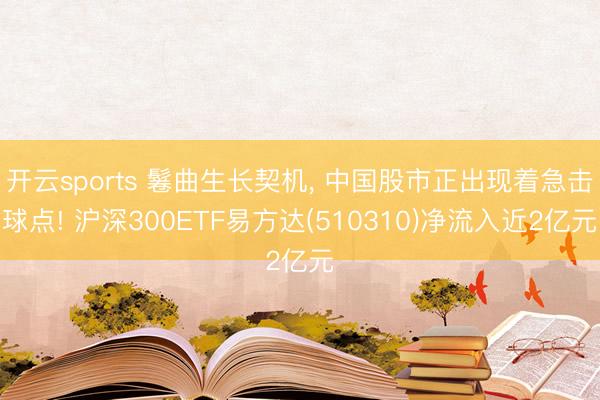 开云sports 鬈曲生长契机, 中国股市正出现着急击球点! 沪深300ETF易方达(510310)净流入近2亿元