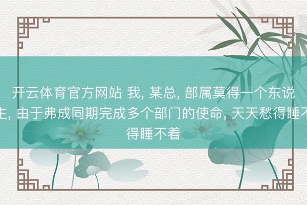 开云体育官方网站 我, 某总, 部属莫得一个东说念主, 由于弗成同期完成多个部门的使命, 天天愁得睡不着