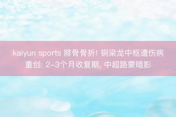 kaiyun sports 腓骨骨折! 铜梁龙中枢遭伤病重创: 2-3个月收复期, 中超路蒙暗影